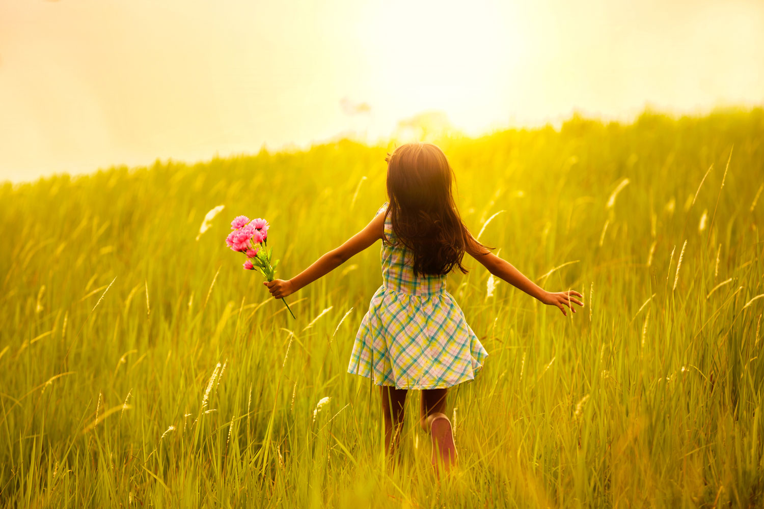 little girl in a field of wheat with flowers